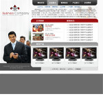 2012-家电生产企业网站