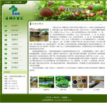 2023-小型农家乐网站